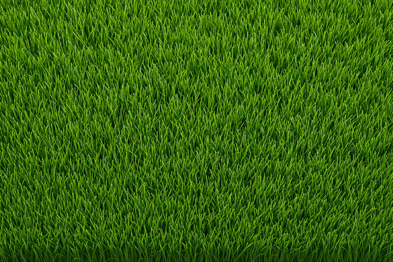 Synthetic lawn turf